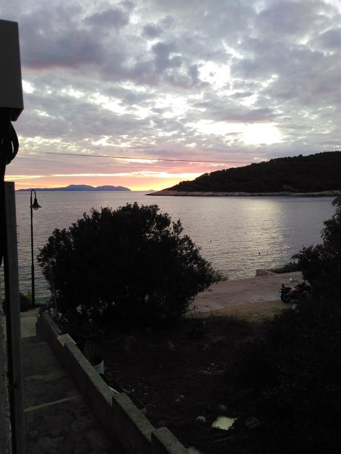 Apartma Vesna *