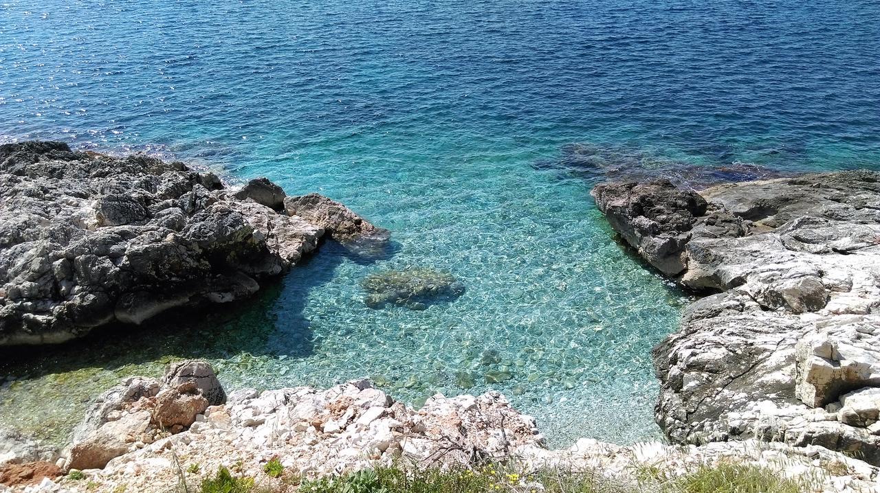 Apartma Vesna Milna (Hvar)